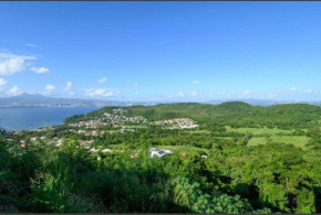 Magnifique T2 au Trois ilets avec vue Panoramique